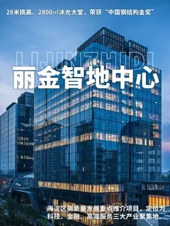 丽金智地中心 实拍 2